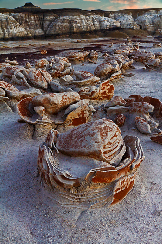 Badlands of New Mexico Unlimited. Pet, Senior, Landscape, portrait studio, photographer in Miami and Sou