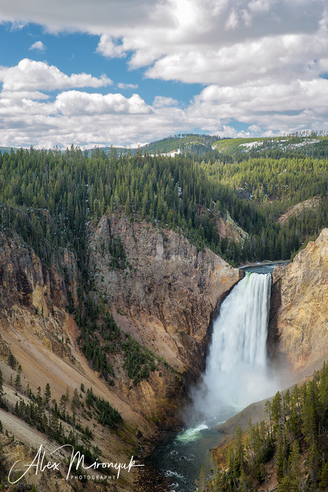 Yellowstone & Grand Teton. Pet, Senior, Landscape, portrait studio, photographer in Miami and Sou