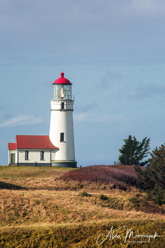 Oregon Coast Photo Workshop. Pet, Senior, Landscape, portrait studio, photographer in Miami and Sou