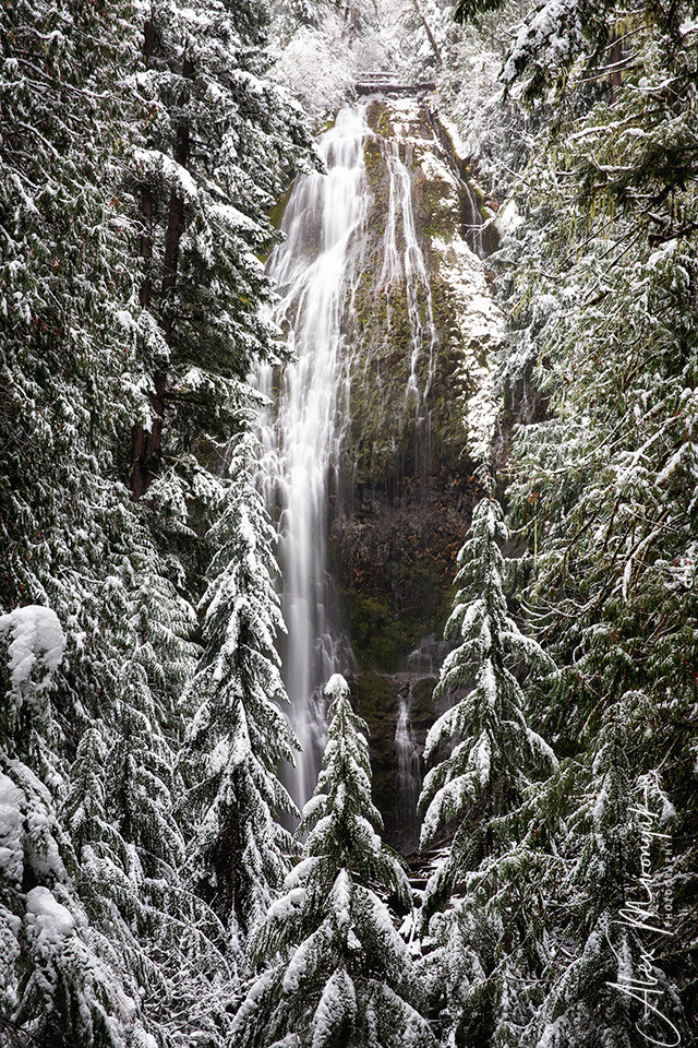 Oregon Coast Photo Workshop. Pet, Senior, Landscape, portrait studio, photographer in Miami and Sou