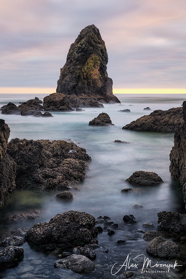 Oregon Coast Photo Workshop. Pet, Senior, Landscape, portrait studio, photographer in Miami and Sou