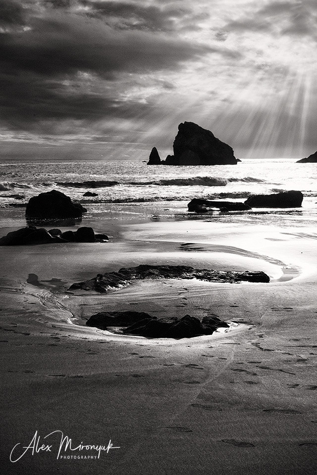 Oregon Coast Photo Workshop. Pet, Senior, Landscape, portrait studio, photographer in Miami and Sou