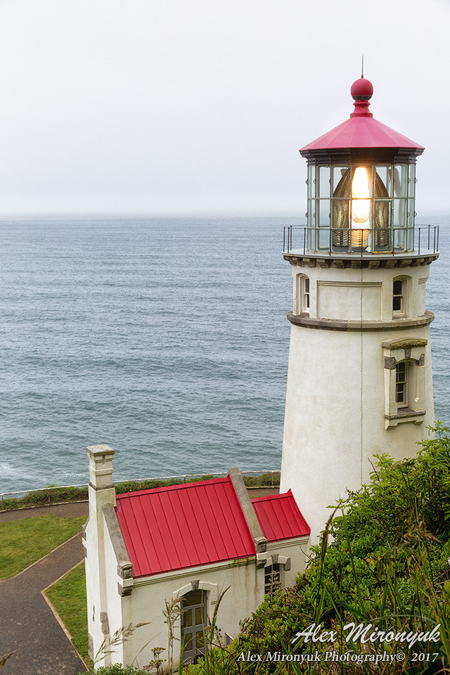 Oregon Coast Photo Workshop. Pet, Senior, Landscape, portrait studio, photographer in Miami and Sou