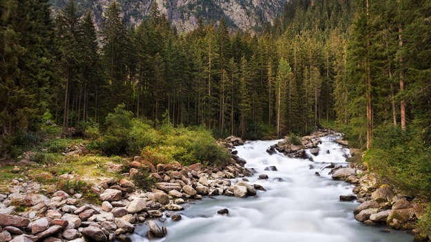 Real Estate & Hospitality. FinCIB — Financial Corporate Investment Business