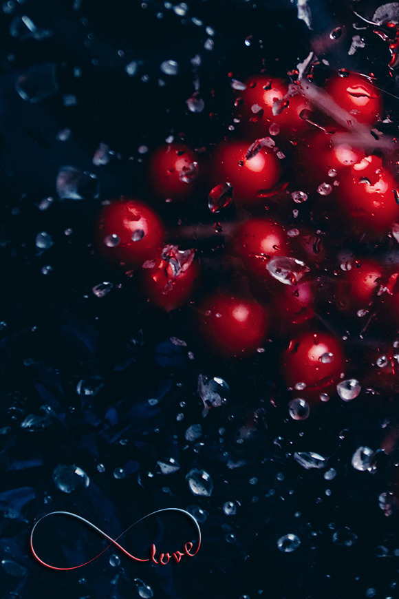 Personalized Still Lives. Lolly Shine. Contemporary digital artist