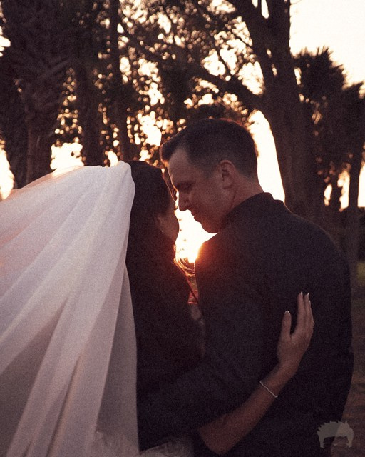 Home. Out and About 239