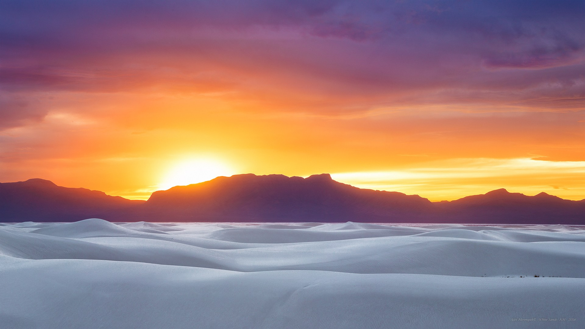 The Best of New Mexico. Pet, Senior, Landscape, portrait studio, photographer in Miami and Sou