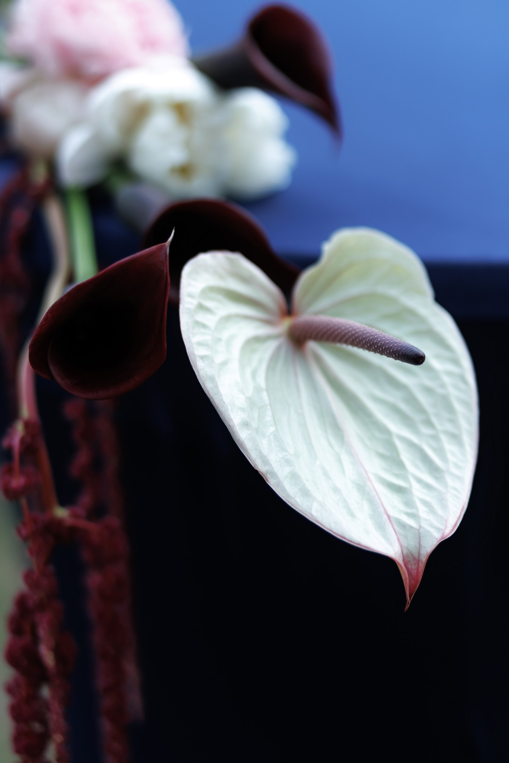 Julia & Flo – Hochzeit auf dem Pfingstberg Belvedere Potsdam