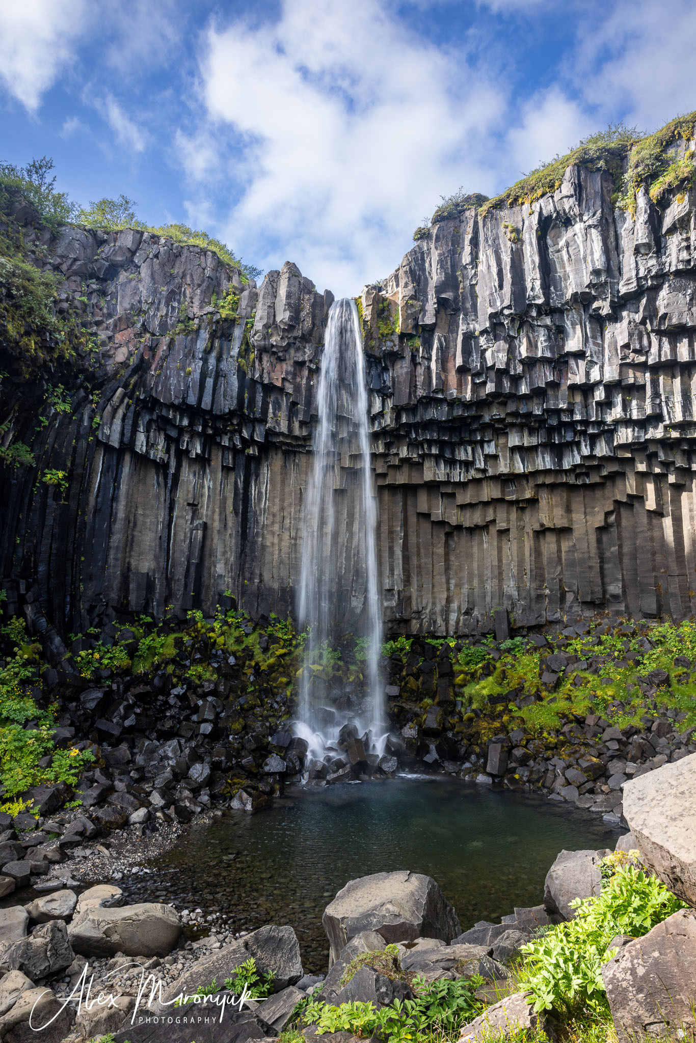 All Colors Of Iceland. Pet, Senior, Landscape, portrait studio, photographer in Miami and Sou