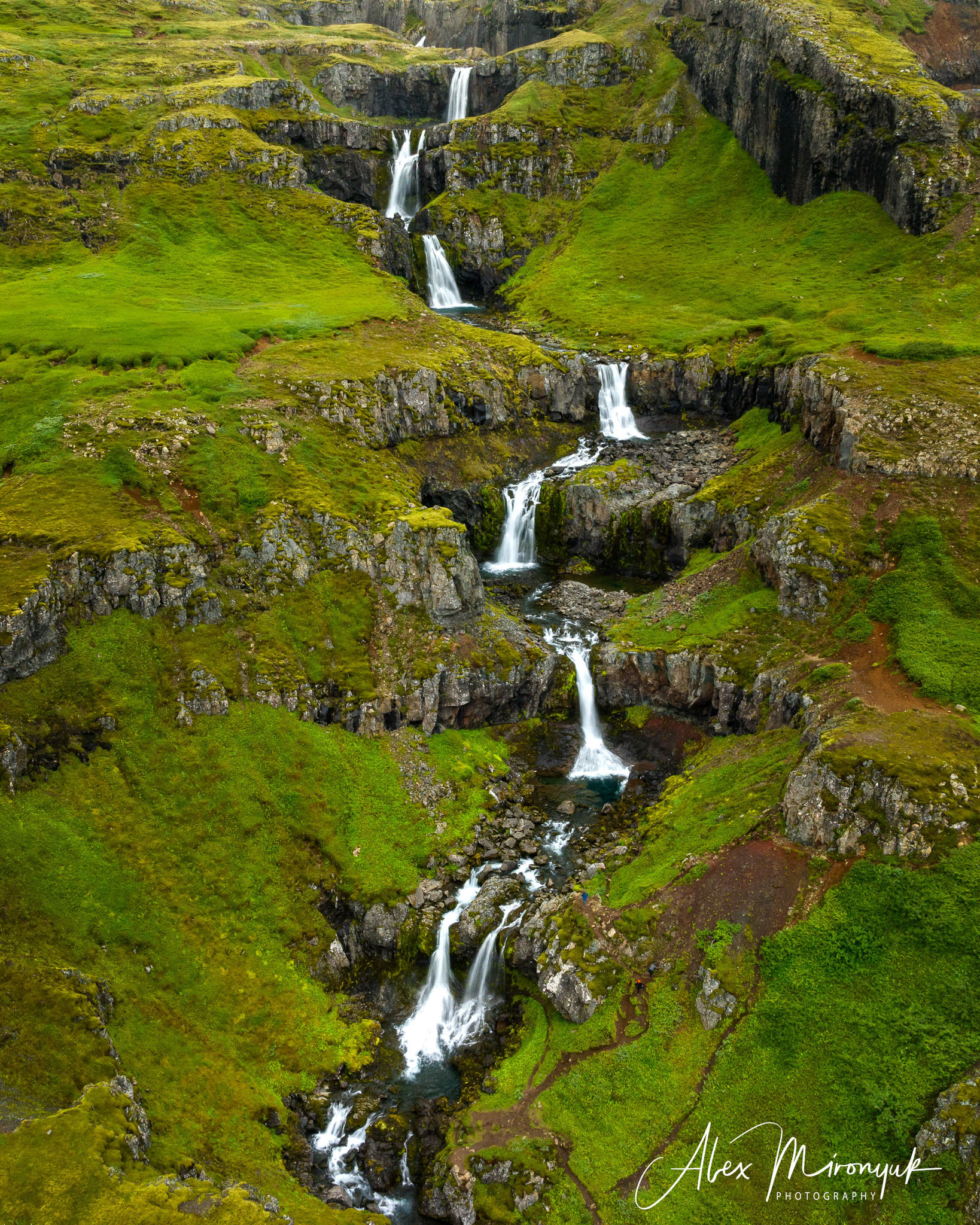 All Colors Of Iceland. Pet, Senior, Landscape, portrait studio, photographer in Miami and Sou