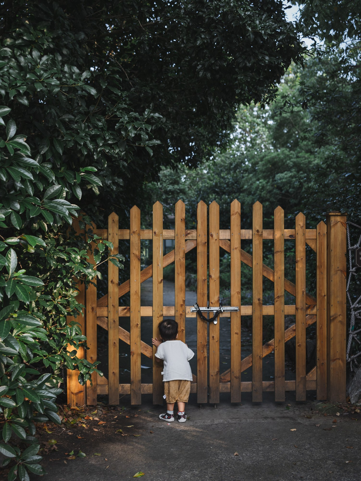 Shanghai Family Photographer | A Sunset Park Walk with a Growing Toddler