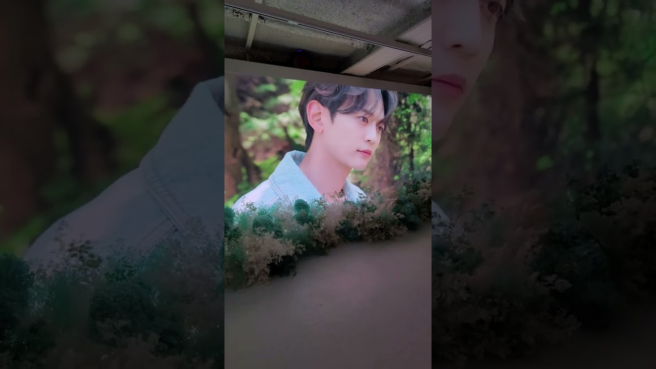 SHINee 15th Anniversary. Photographer in Seoul Dobrokvashina Natalya