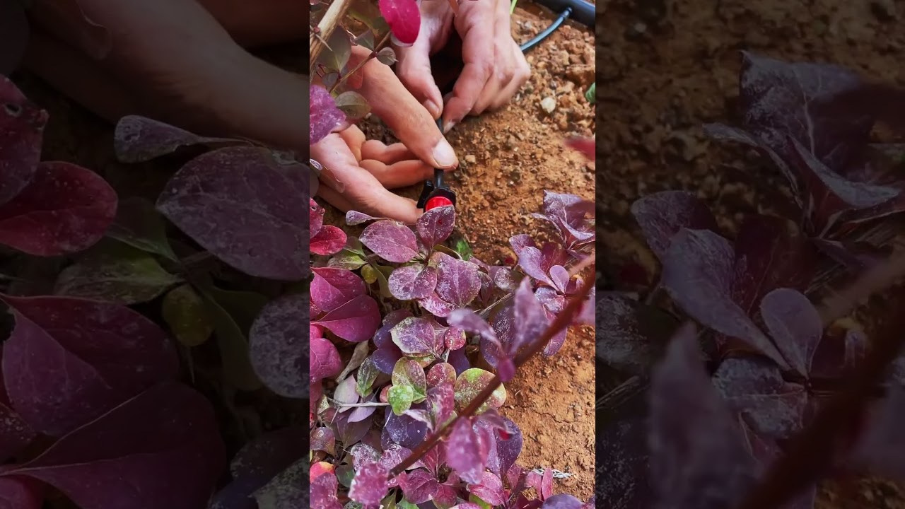 Geoponitikon-Όταν η Επιστήμη συναντά την Τέχνη στο Φυσικό Τοπίο!