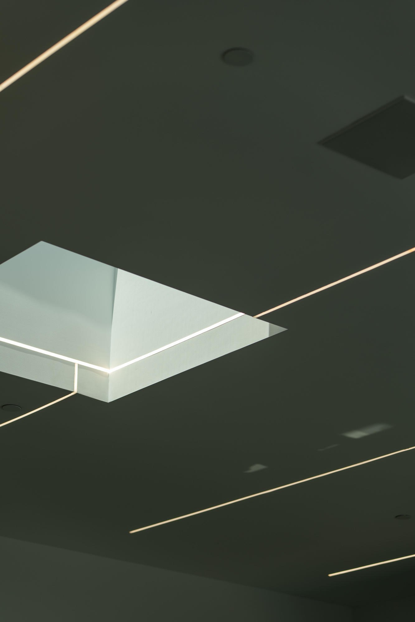 Events. Daniel Vegera — Artistic & Business Photography in San Francisco