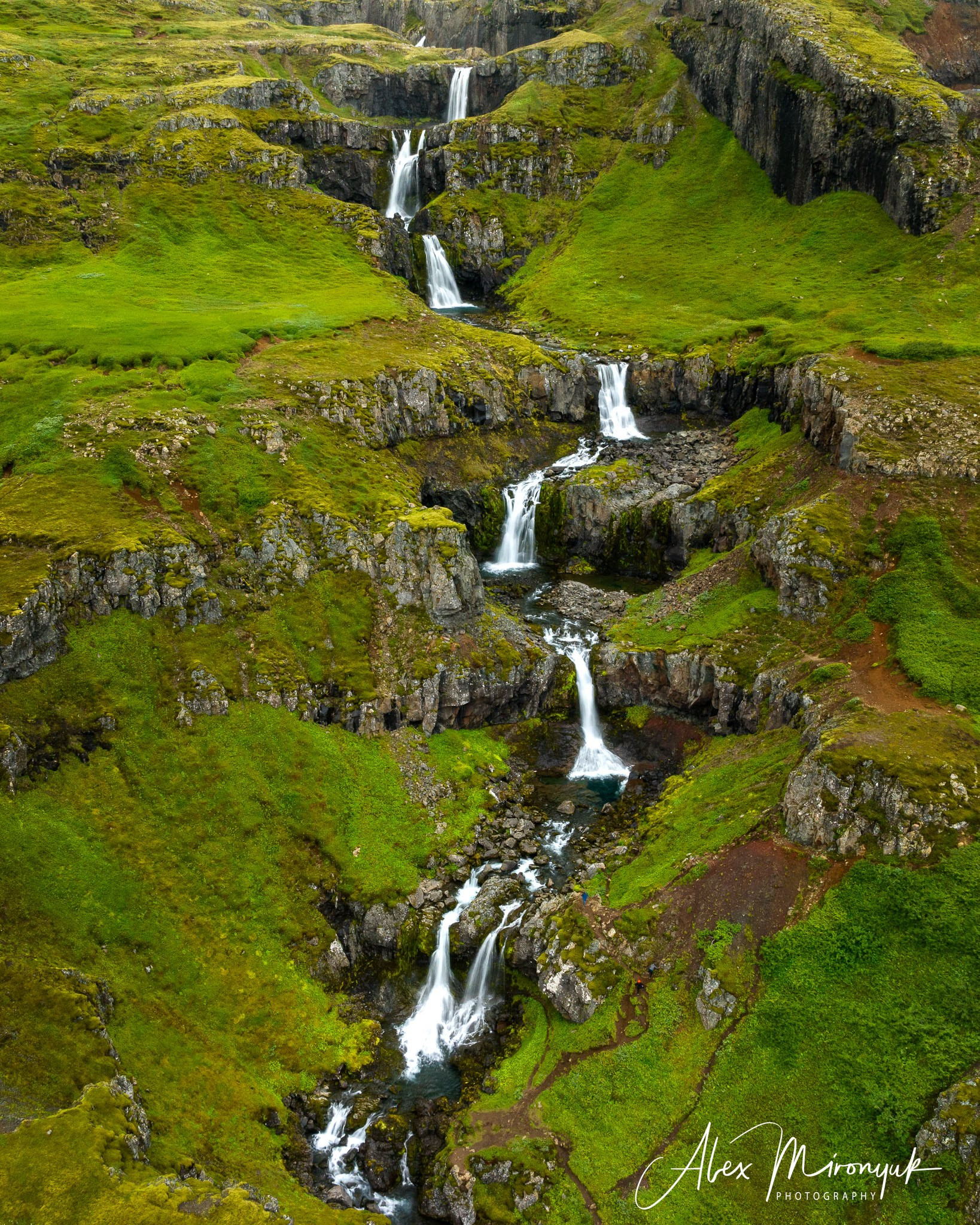 Unforgettable Iceland. Pet, Senior, Landscape, portrait studio, photographer in Miami and Sou