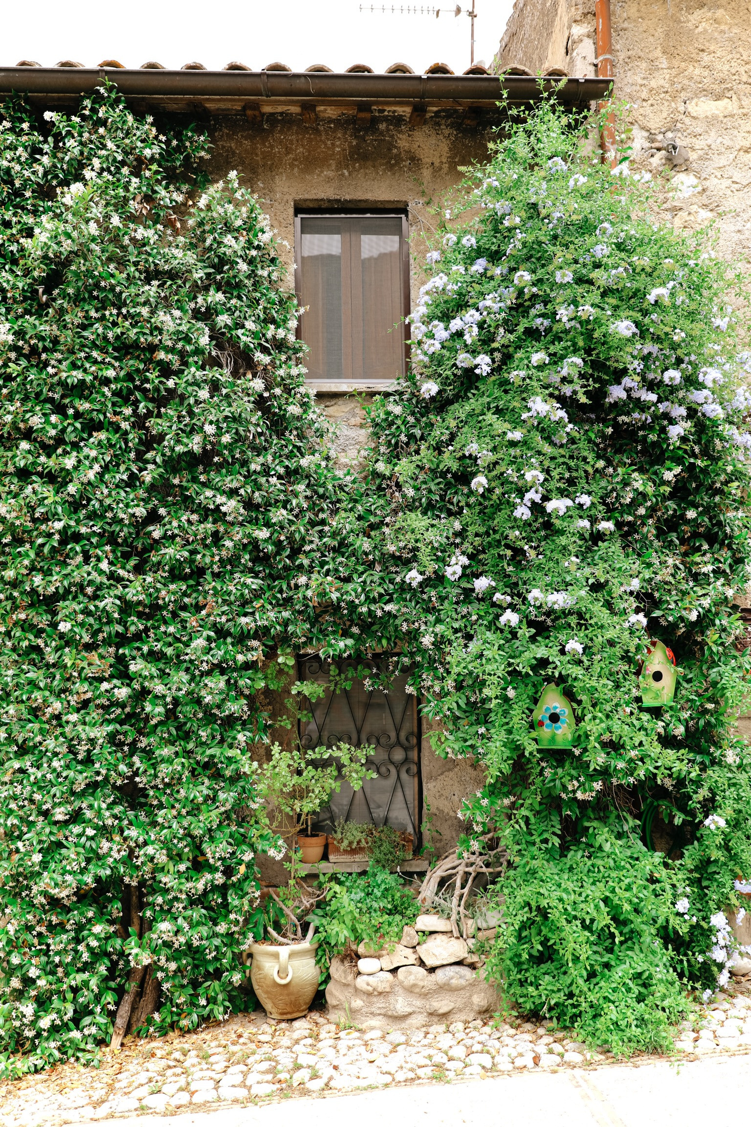 Photo tour in the countryside near Rome. Photographer in Rome