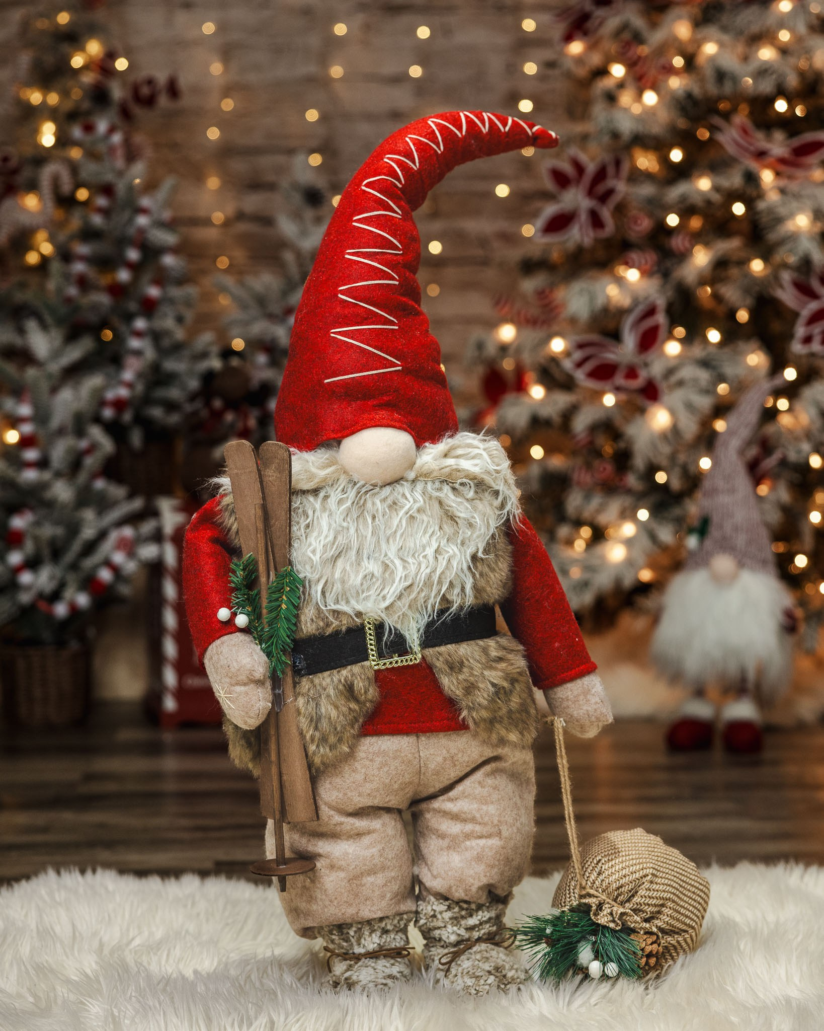 Winter Holiday Mini Sessions. Pet, Senior, Landscape, portrait studio, photographer in Miami and Sou