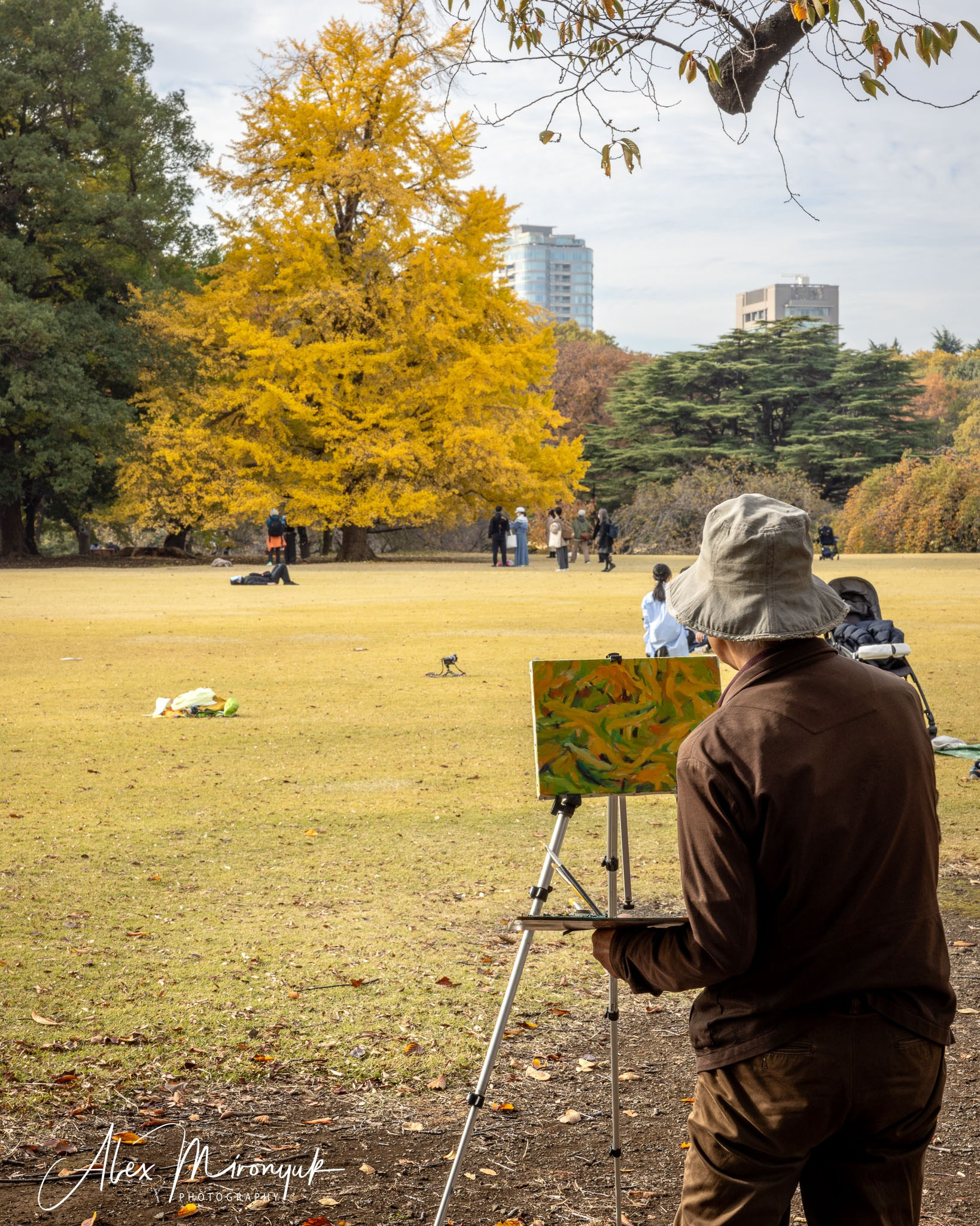 Autumn Colors of Japan. Pet, Senior, Landscape, portrait studio, photographer in Miami and Sou