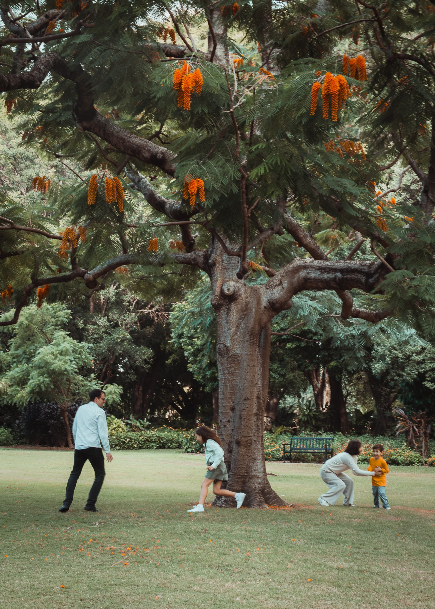 Happy family photo session in Brisbane park, candid lifestyle photography