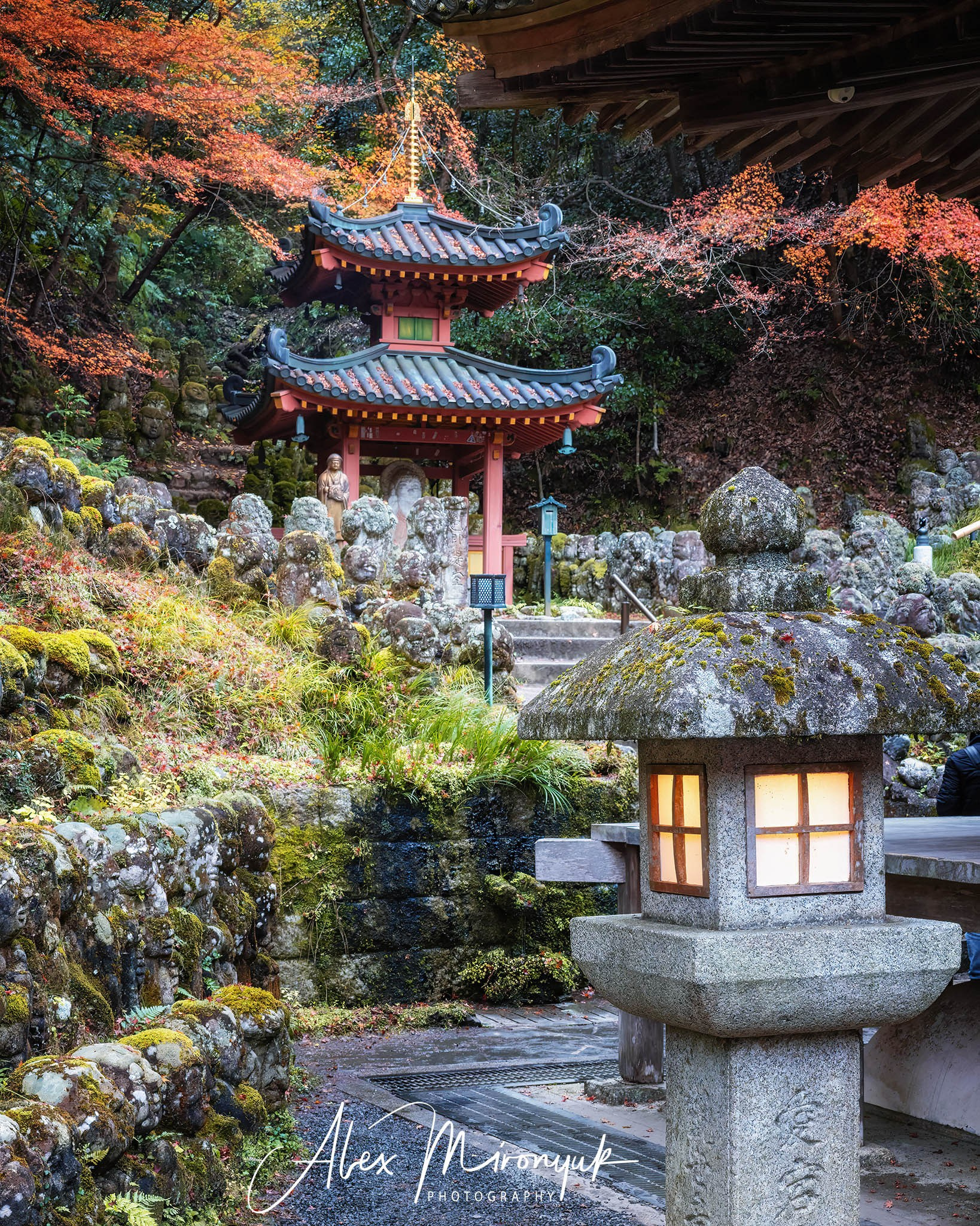 Autumn Colors of Japan. Pet, Senior, Landscape, portrait studio, photographer in Miami and Sou