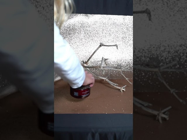 SHORT VIDEOS TRAINING, REELS TRAINING. Oxana Dia Business and Brand Photography and Videography in Barcelona