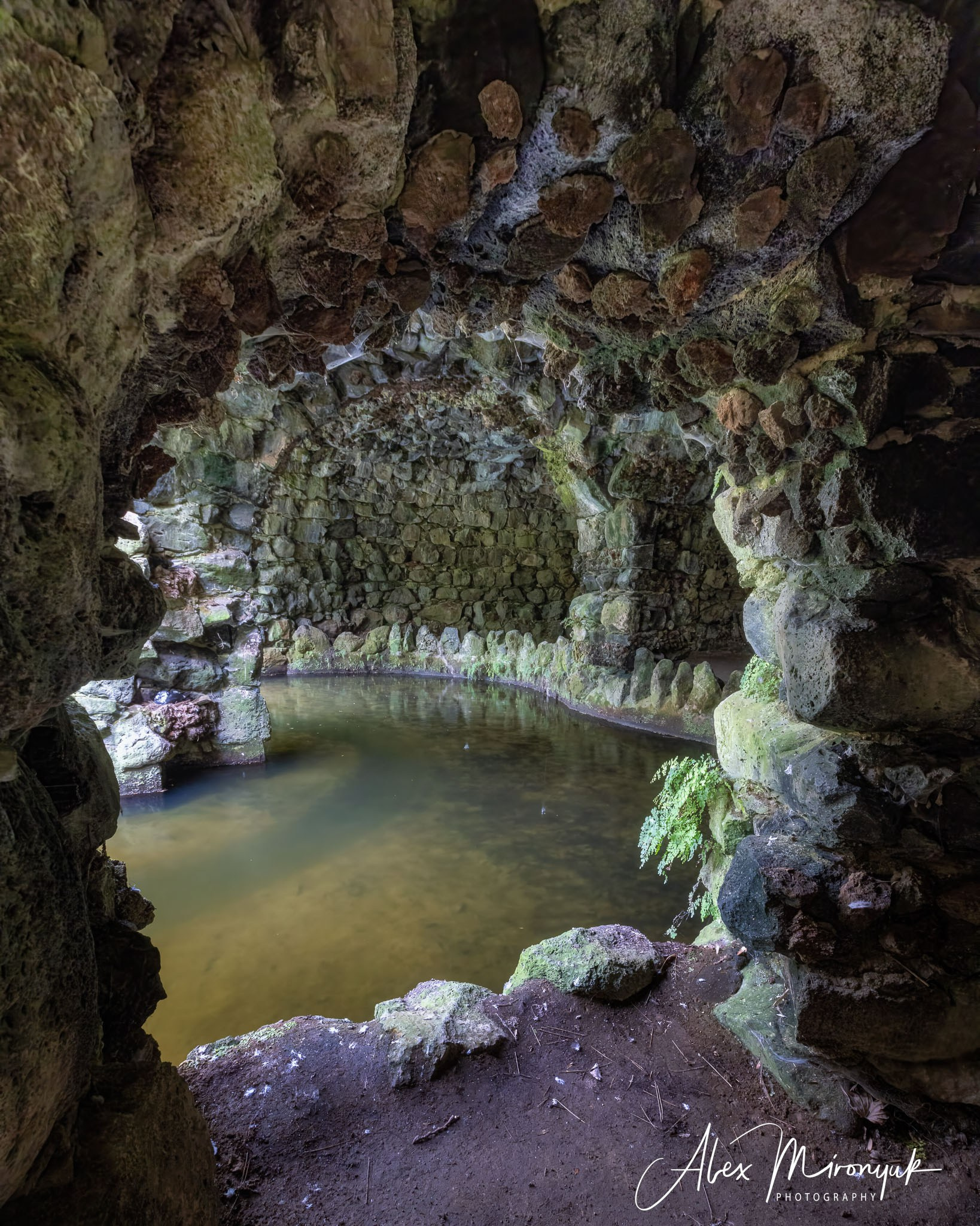 Azores And Madeira. Alex Mironyuk Photography