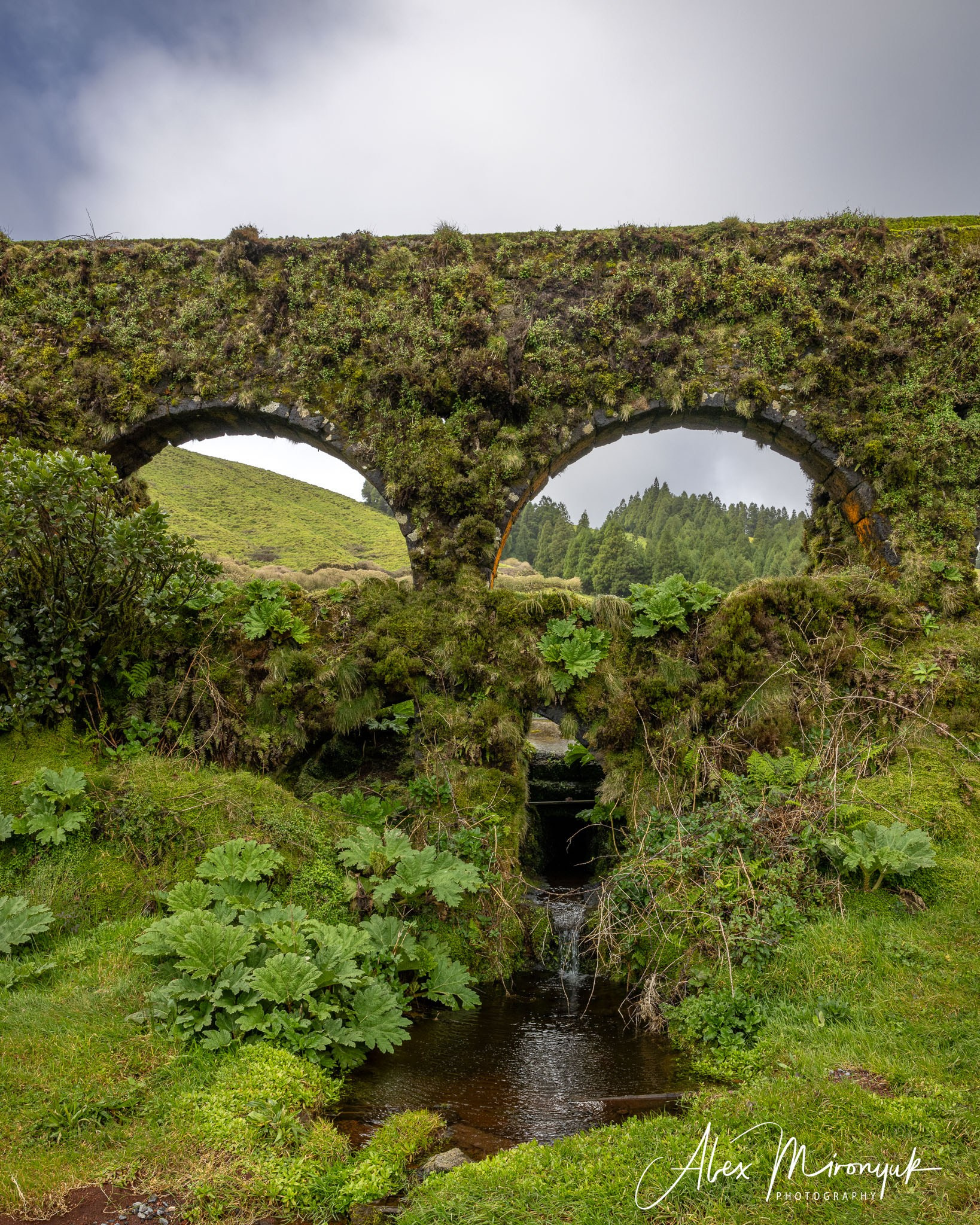Azores And Madeira. Alex Mironyuk Photography
