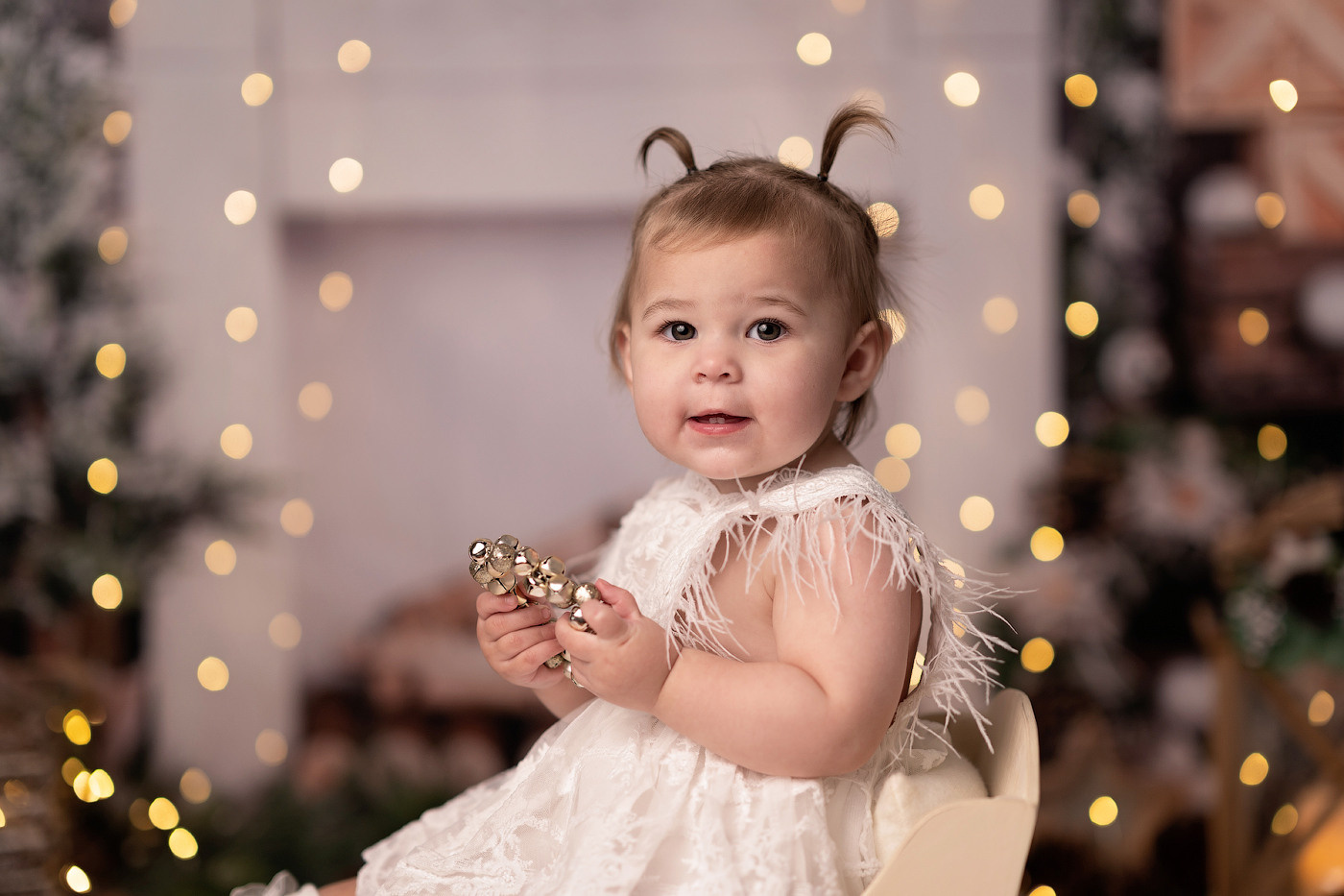Christmas mini sessions 2024, Sydney. Newborn and family photographer. Hills District. Sydney