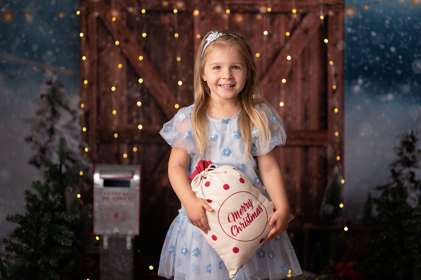 Christmas mini sessions 2024, Sydney. Newborn and family photographer. Hills District. Sydney