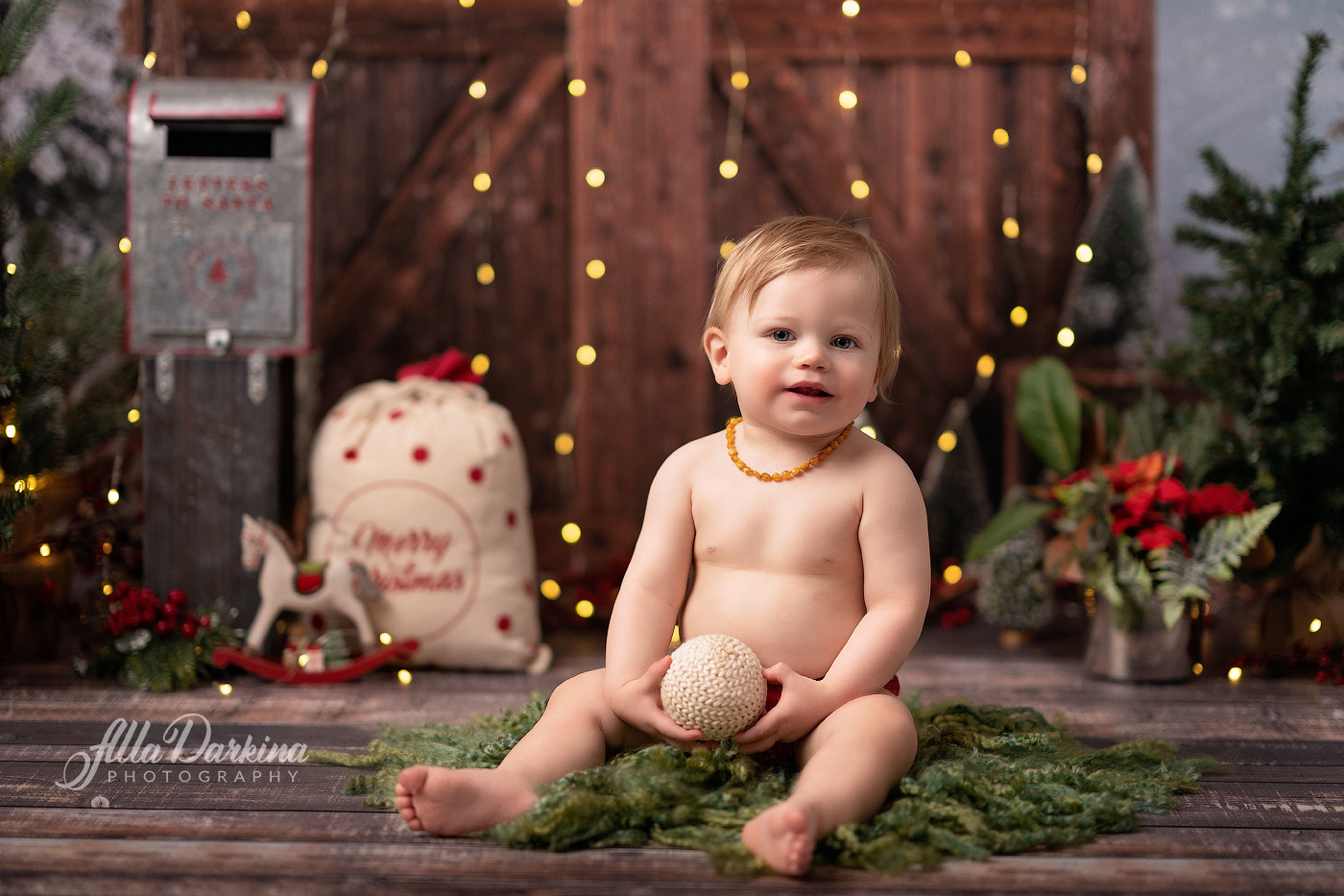 Christmas mini sessions 2024, Sydney. Newborn and family photographer. Hills District. Sydney