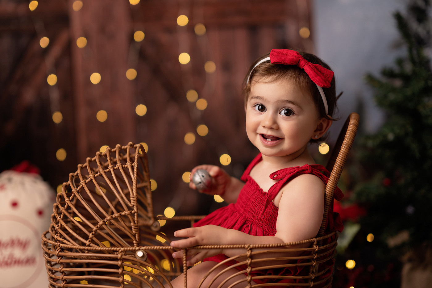 Christmas mini sessions 2024, Sydney. Newborn and family photographer. Hills District. Sydney