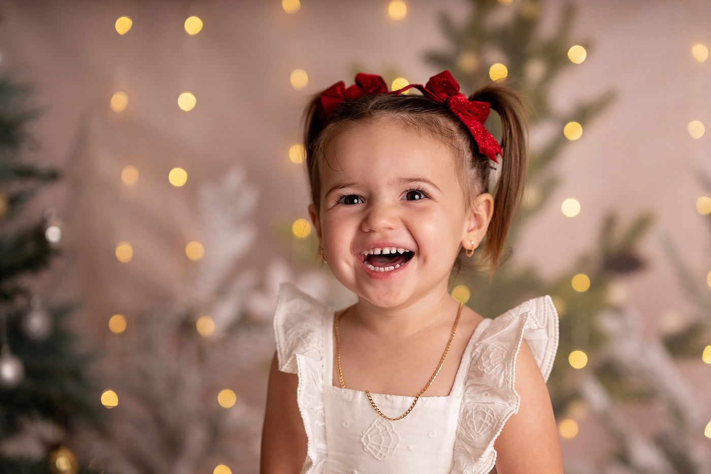 Christmas mini sessions 2024, Sydney. Newborn and family photographer. Hills District. Sydney