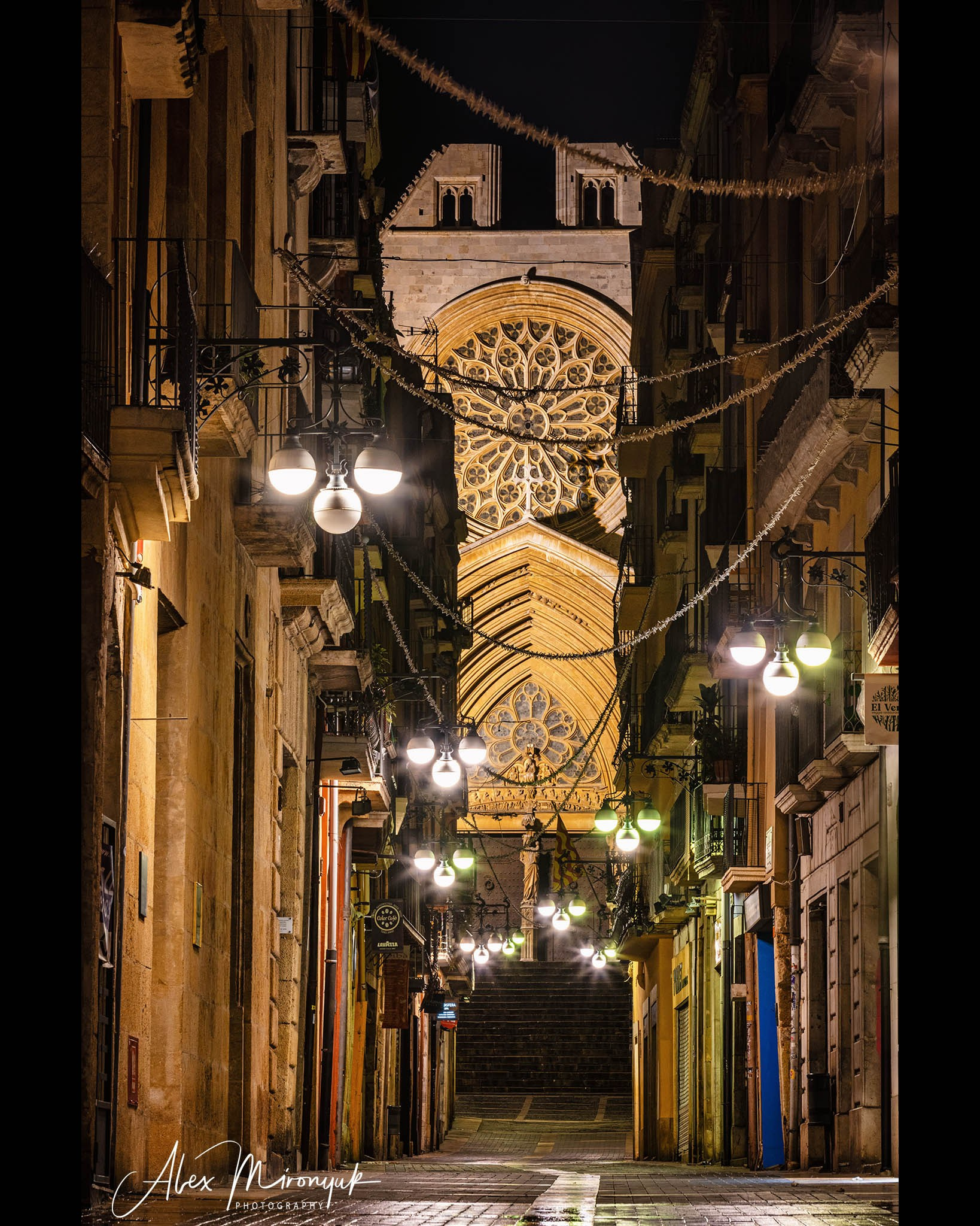 Catalonian Medieval Castles. Pet, Senior, Landscape, portrait studio, photographer in Miami and Sou