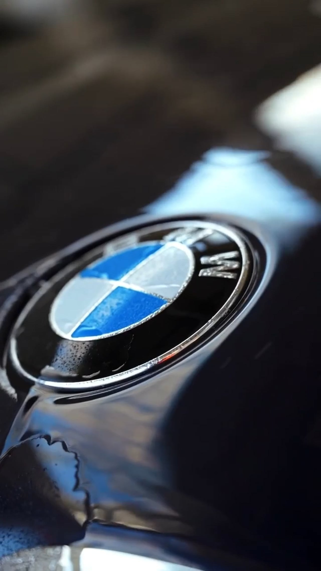 Визуално популяризиране на бизнеса в Бургас, Юлия Начева