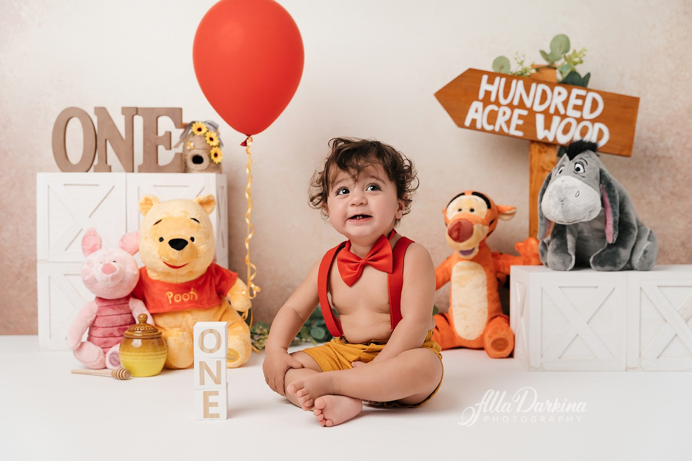 Winnie The Pooh cake smash session. Newborn and family photographer. Hills District. Sydney
