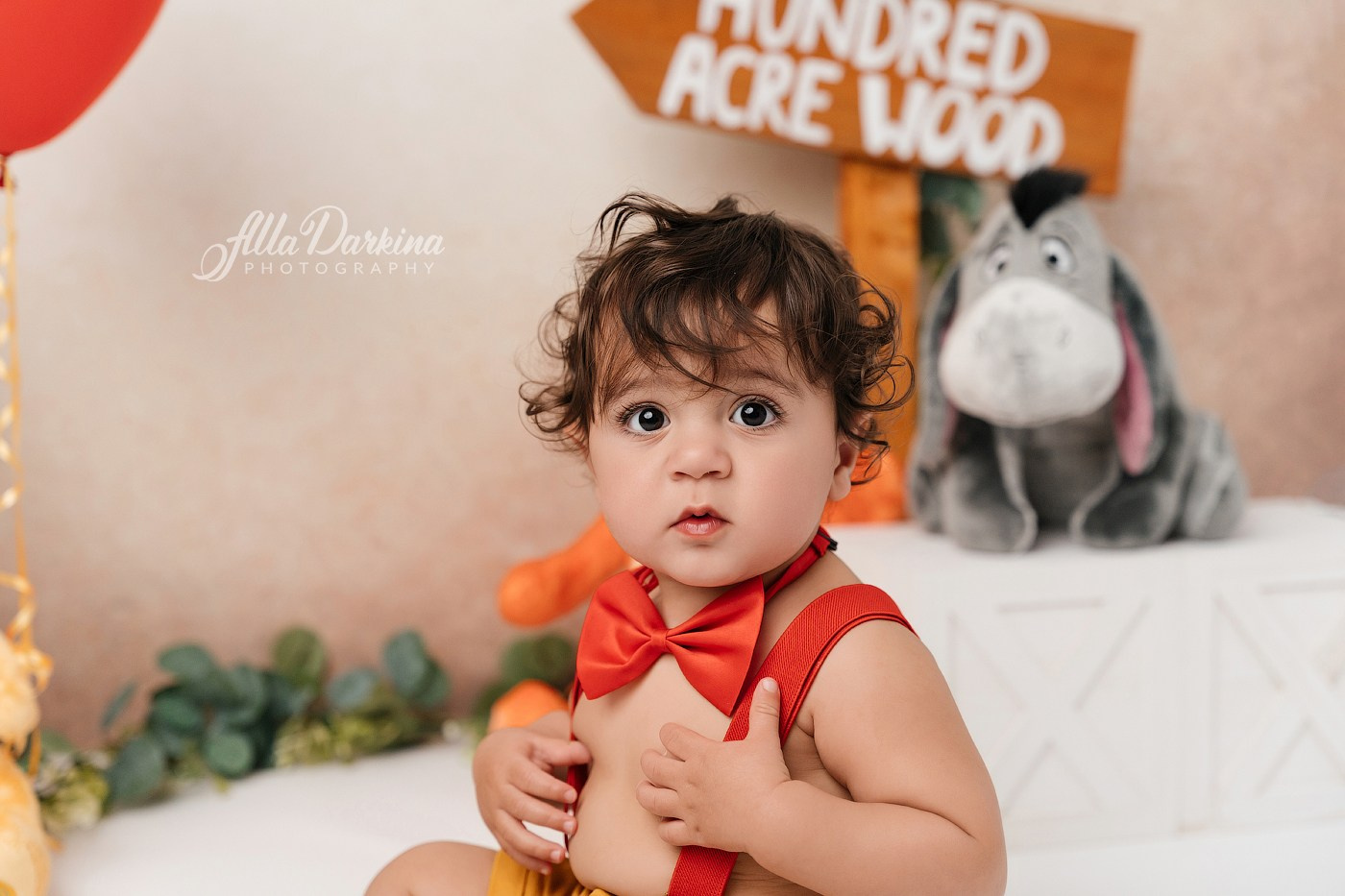 Winnie The Pooh cake smash session. Newborn and family photographer. Hills District. Sydney