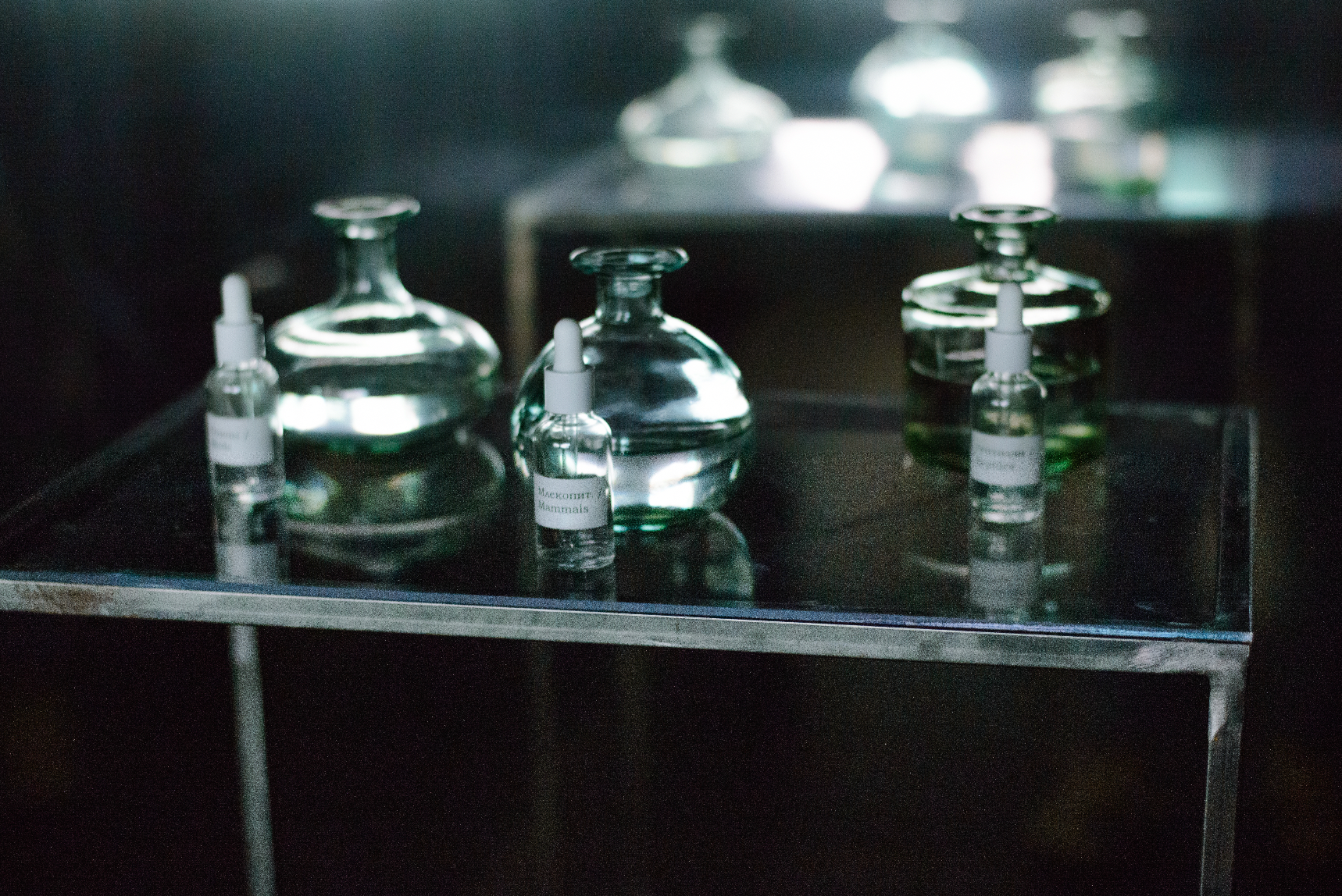 Арт-медиация по экспозиции НИИ «Параприрода». Alina Kugush