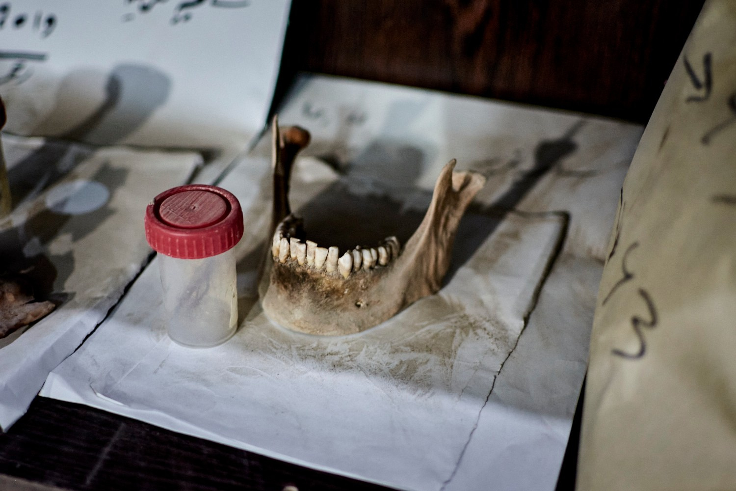 Raqqa, 9 février 2025 – Ossements humains retrouvés dans les fosses communes de l’État islamique, sur lesquels travaille la Syrian Missing Persons and Forensic Team. Cette organisation s'applique depuis plusieurs années à identifier les corps retrouvés dans les charniers de Daech découverts autour de Raqqa, et à leur offrir une sépulture digne. Aujourd'hui, l'équipe, forte de son expérience, souhaite étendre ses compétences à l'ensemble du territoire syrien et aider à documenter les crimes commis par le régime Assad.