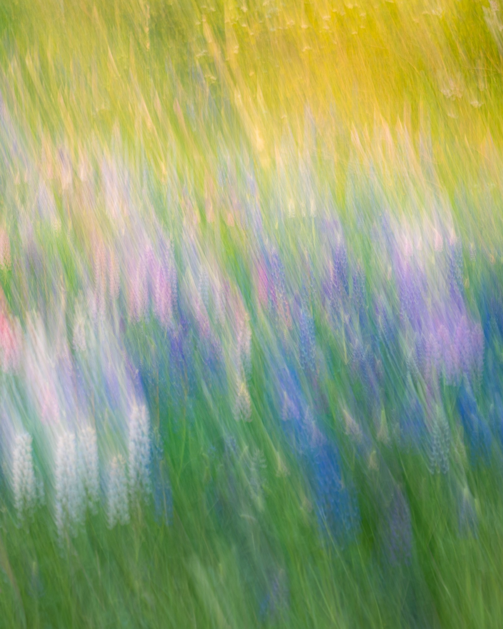 Petr Ya. Photopolygon Mag