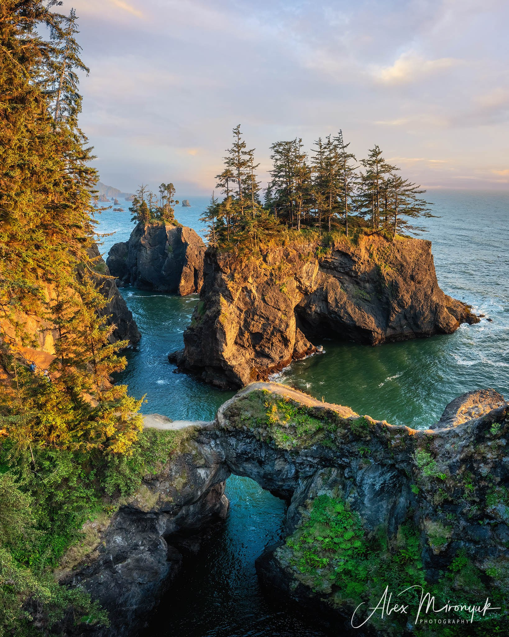 From Crater Lake to the Coast — A Photographer’s Journey. Pet, Senior, Landscape, portrait studio, photographer in Miami and Sou