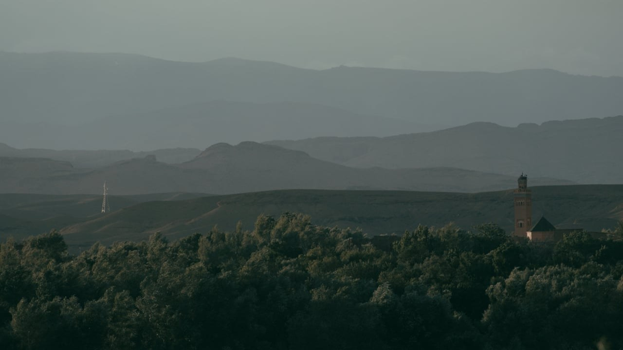 Haqiqa. Singularity Film