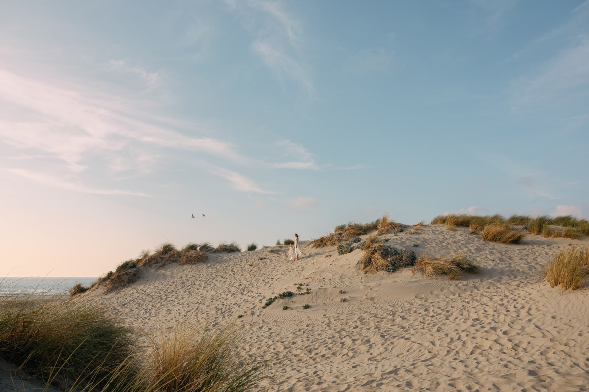 Mother & Daughter Photoshoot in the Dunes — Hoek van Holland. Romantic & Soulful Photography by Natalia Olhova in Rotterdam