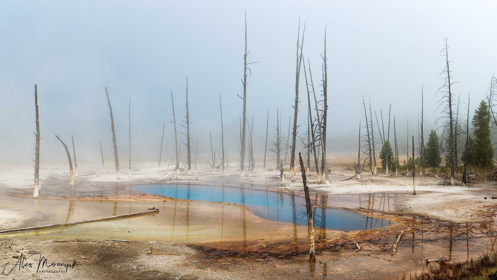 Yellowstone & Grand Teton. Pet, Senior, Landscape, portrait studio, photographer in Miami and Sou