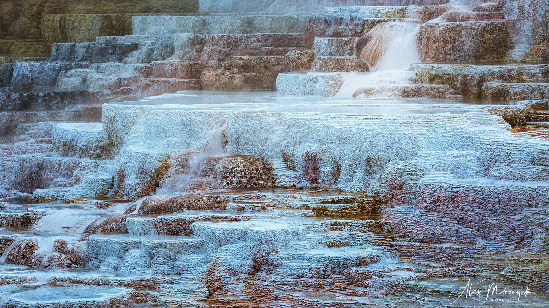Yellowstone & Grand Teton. Pet, Senior, Landscape, portrait studio, photographer in Miami and Sou