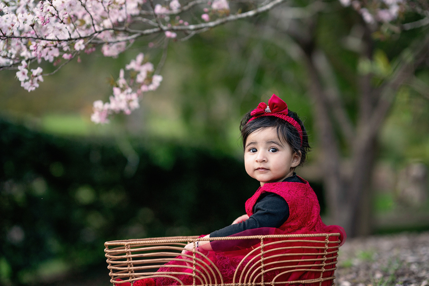 Family session price guide. Newborn and family photographer. Hills District. Sydney