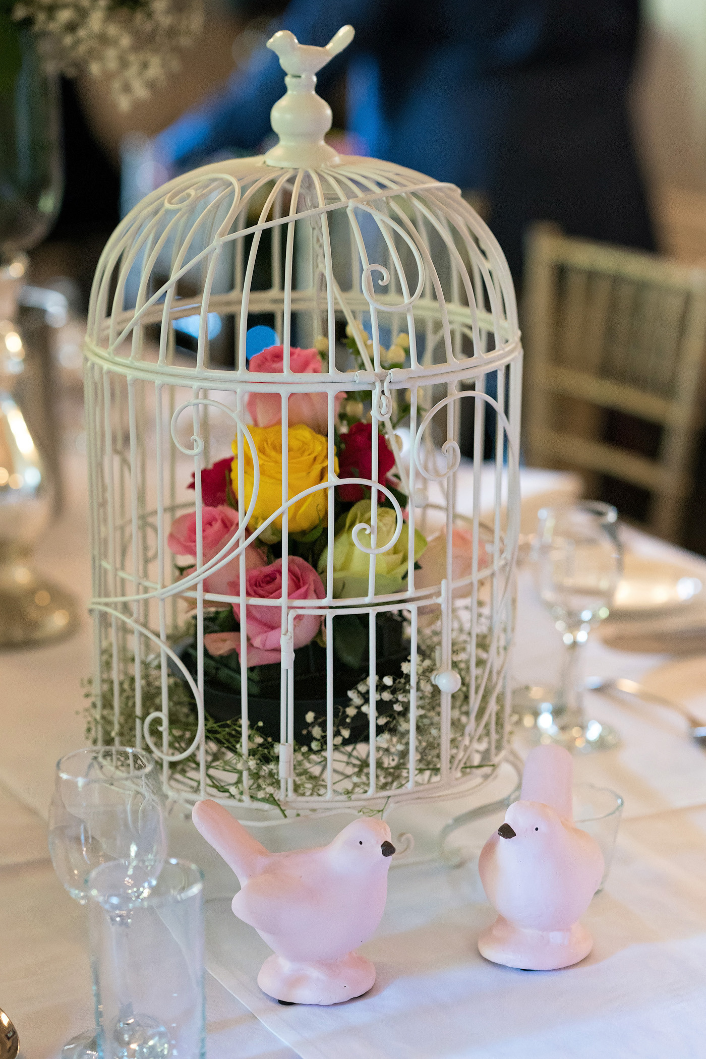 Party photography price guide. Newborn and family photographer. Hills District. Sydney