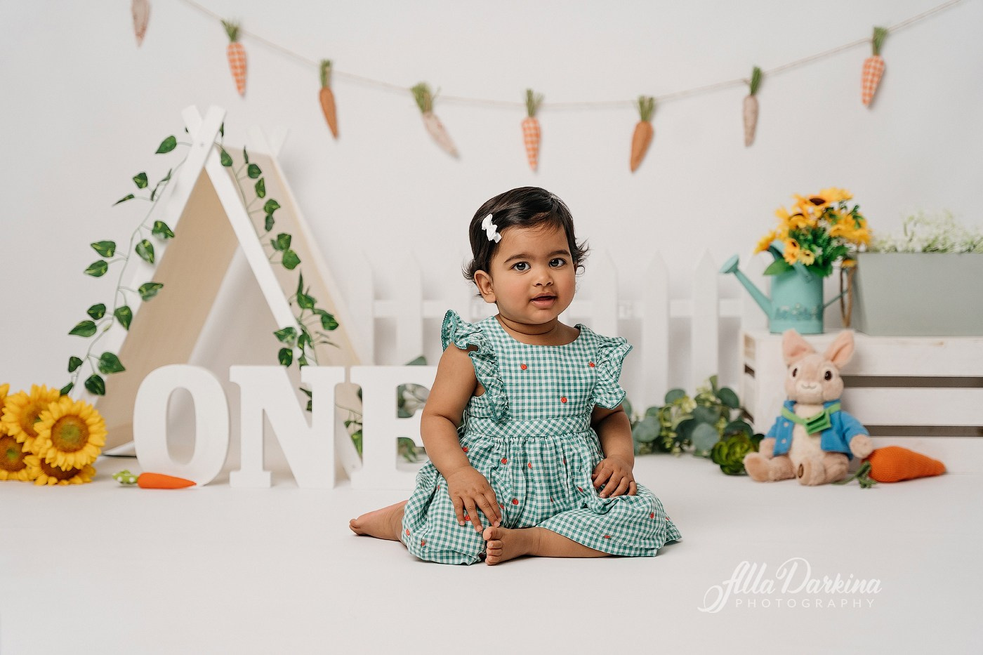First birthday celebration. Newborn and family photographer. Hills District. Sydney