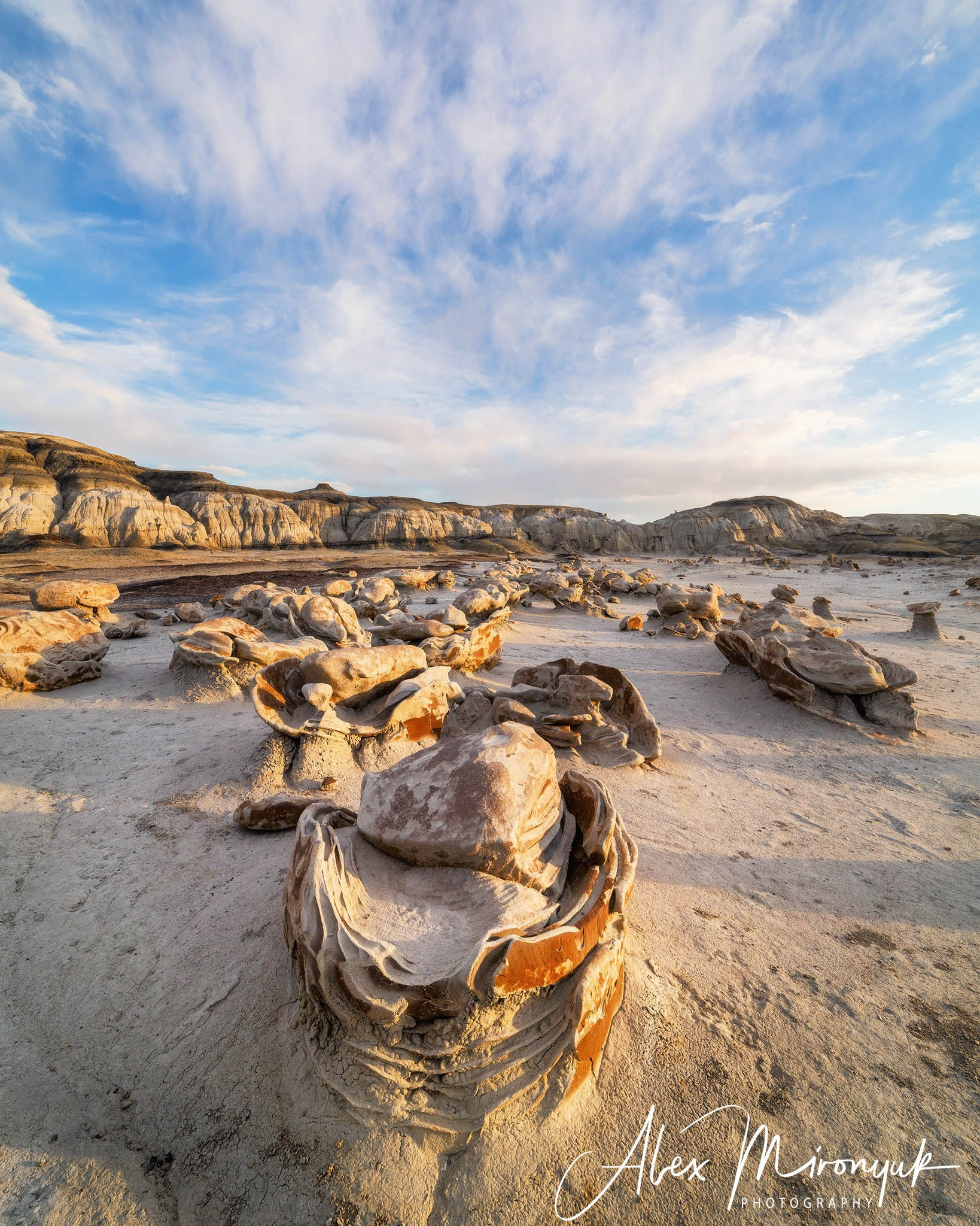 Eagle’s View American Southwest. Pet, Senior, Landscape, portrait studio, photographer in Miami and Sou