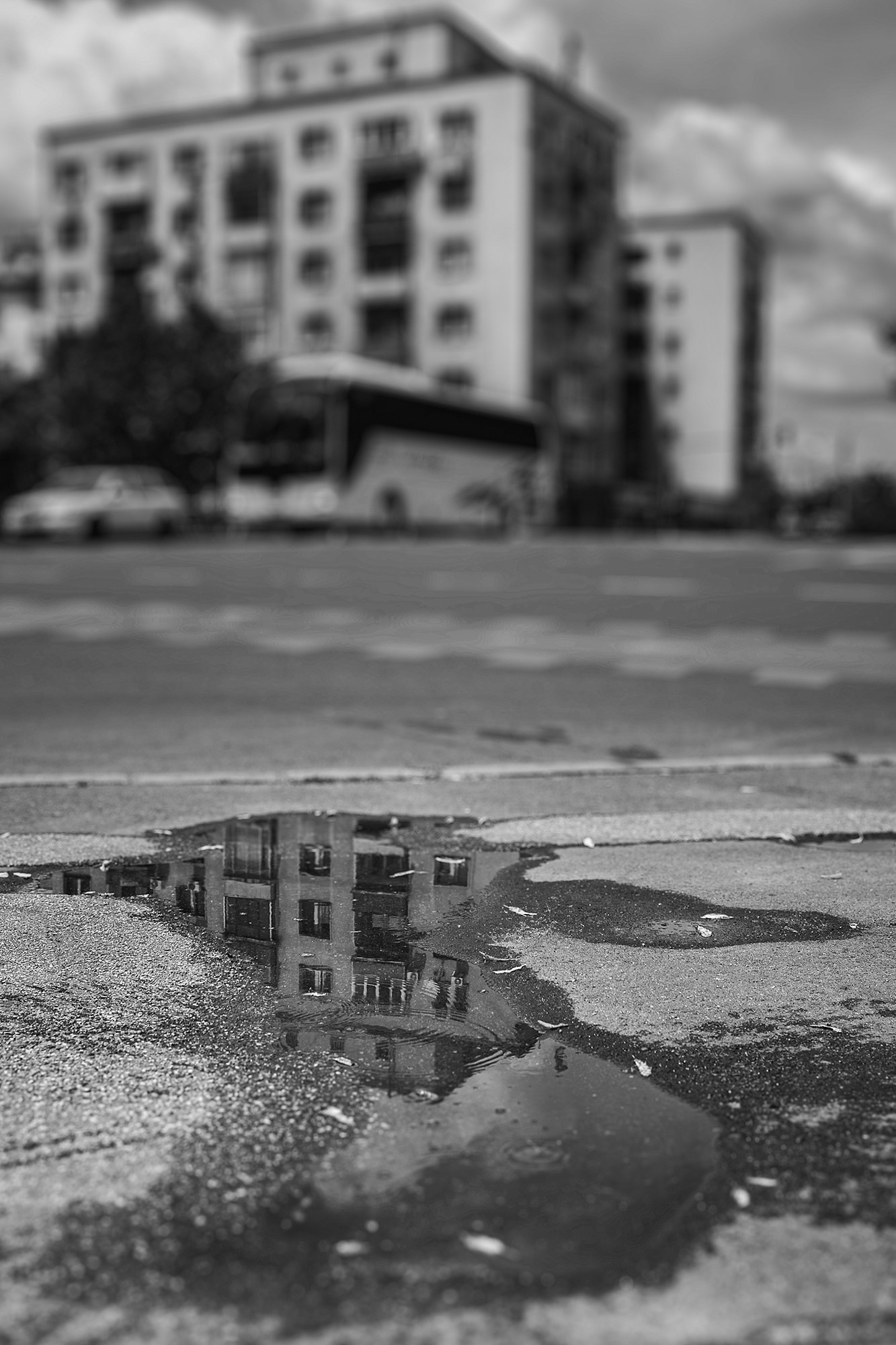 A Creative Insight | Catalin Nastase