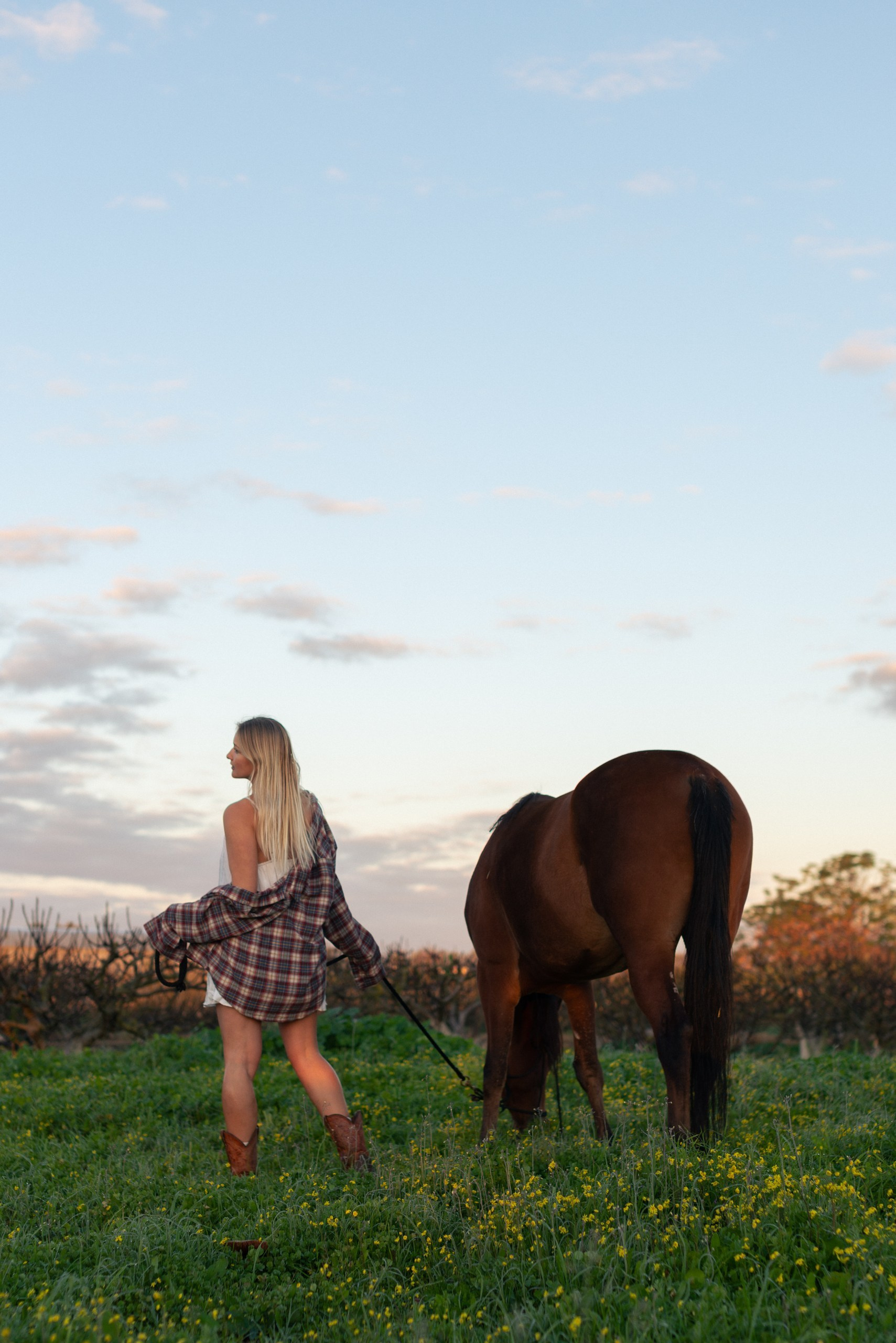 Golden hour at Rio’s ranch. Dina Solomina | Photographer in Israel